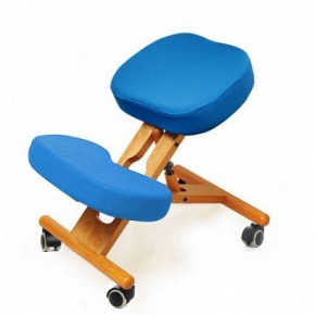 Коленный стул Smartstool KW02 + Чехлы в Лабытнанги - labytnangi.mebel-74.com | фото
