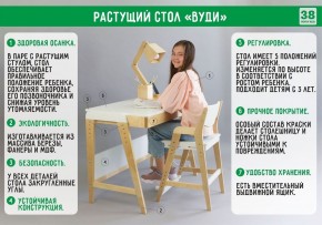 Комплект растущий стол и стул с чехлом 38 попугаев «Вуди» (Белый, Береза, Ромбы) в Лабытнанги - labytnangi.mebel-74.com | фото
