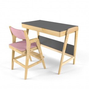 Комплект растущий стол и стул с чехлом 38 попугаев «Вуди» (Серый, Береза, Розовый) в Лабытнанги - labytnangi.mebel-74.com | фото