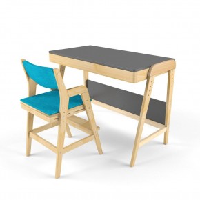 Комплект растущий стол и стул с чехлом 38 попугаев «Вуди» (Серый, Без покрытия, Лазурь) в Лабытнанги - labytnangi.mebel-74.com | фото