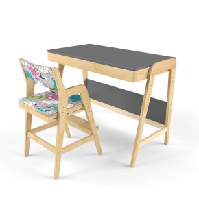 Комплект растущий стол и стул с чехлом 38 попугаев «Вуди» (Серый, Без покрытия, Мечта) в Лабытнанги - labytnangi.mebel-74.com | фото