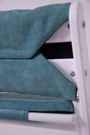 Комплект растущий стул и подушки Конёк Горбунёк Комфорт  (Ягодный, Волна) в Лабытнанги - labytnangi.mebel-74.com | фото
