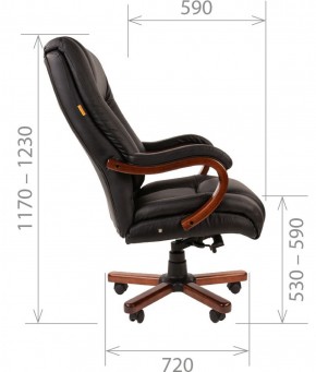 Кресло для руководителя CHAIRMAN  503 (Кожа) Черное в Лабытнанги - labytnangi.mebel-74.com | фото