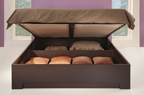Кровать-3 с подъемным основанием 1600 Парма в Лабытнанги - labytnangi.mebel-74.com | фото