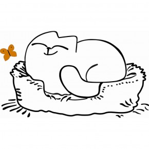 Кровать двухуровневая Кот № 900.1 ЛЕВАЯ (туя светлая/белый) в Лабытнанги - labytnangi.mebel-74.com | фото