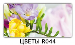 Обеденный раздвижной стол Бриз с фотопечатью Цветы R044 в Лабытнанги - labytnangi.mebel-74.com | фото