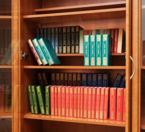 Шкаф для книг арт. 200 в Лабытнанги - labytnangi.mebel-74.com | фото
