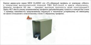Шкаф-купе 1700 серии NEW CLASSIC K3+K3+B2+PL1 (2 ящика+1 штанга) профиль «Капучино» в Лабытнанги - labytnangi.mebel-74.com | фото