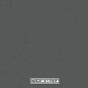 Шкаф купе без зеркала "Ольга-Лофт 10.1" в Лабытнанги - labytnangi.mebel-74.com | фото
