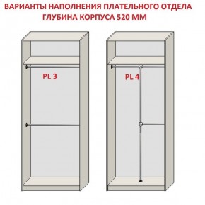 Шкаф распашной серия «ЗЕВС» (PL3/С1/PL2) в Лабытнанги - labytnangi.mebel-74.com | фото