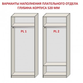 Шкаф распашной серия «ЗЕВС» (PL3/С1/PL2) в Лабытнанги - labytnangi.mebel-74.com | фото