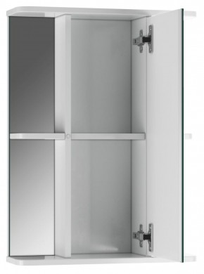 Шкаф-зеркало Норма 2-50 правый АЙСБЕРГ (DA1608HZ) в Лабытнанги - labytnangi.mebel-74.com | фото