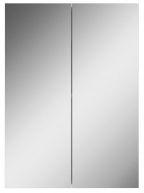 Шкаф-зеркало Норма 50 2 двери АЙСБЕРГ (DA1636HZ) в Лабытнанги - labytnangi.mebel-74.com | фото