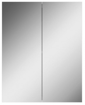 Шкаф-зеркало Норма 55 2 двери АЙСБЕРГ (DA1638HZ) в Лабытнанги - labytnangi.mebel-74.com | фото