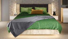 Спальня Джулия Кровать 160 МИ с подъемным механизмом Дуб крафт серый в Лабытнанги - labytnangi.mebel-74.com | фото