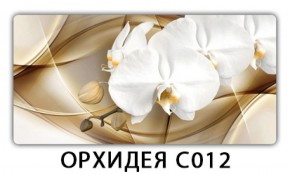Стол раздвижной Трилогия с фотопечатью Цветы R044 в Лабытнанги - labytnangi.mebel-74.com | фото